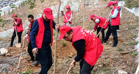 村企共建，共植先锋林