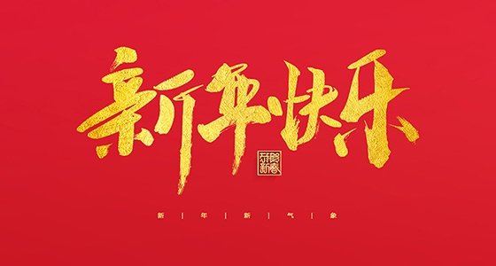 尊龙凯时注册祝各人2022新年快乐！