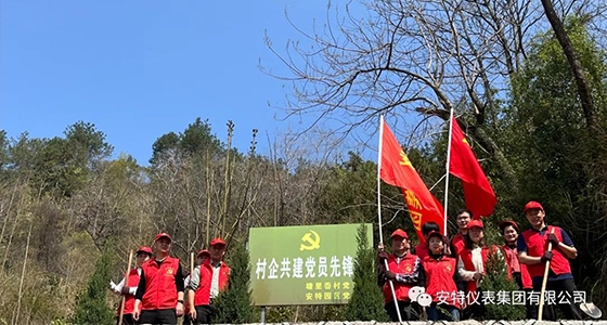 党建强引领，共植先锋林